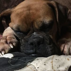 Meet your Posher, Kylee